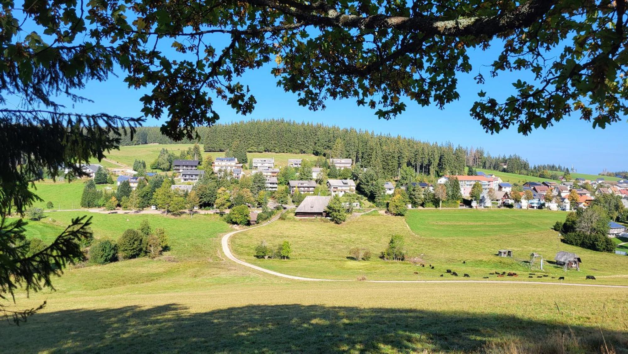 Fewo Gretel Schoenwald Exterior foto